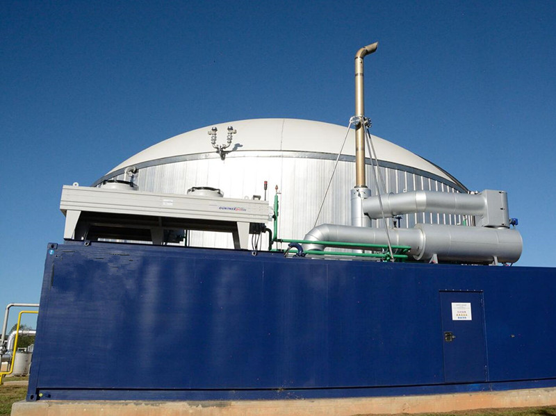 Biogas Generator